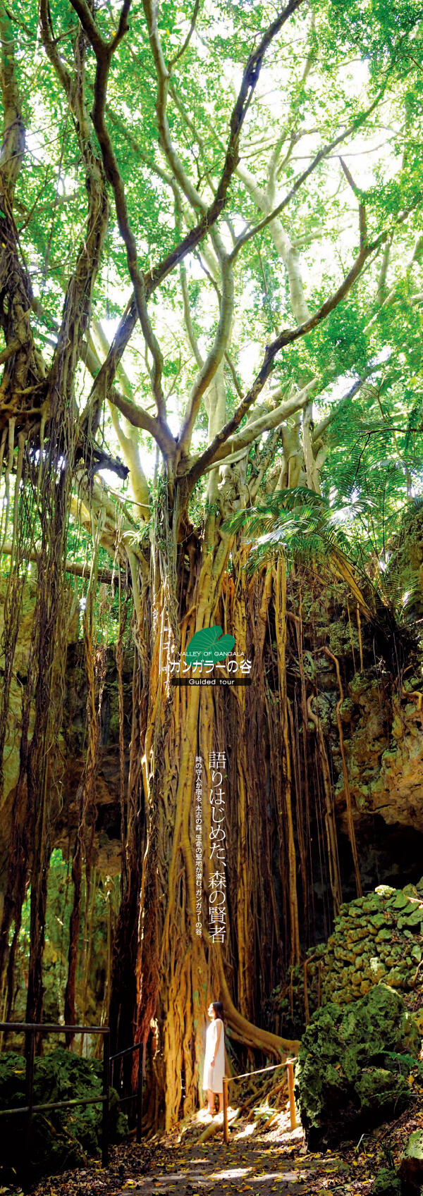 沖縄の観光施設 ガンガラーの谷